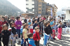 zognobremboski_2017 (15)