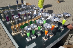 zognobremboski_2017 (23)