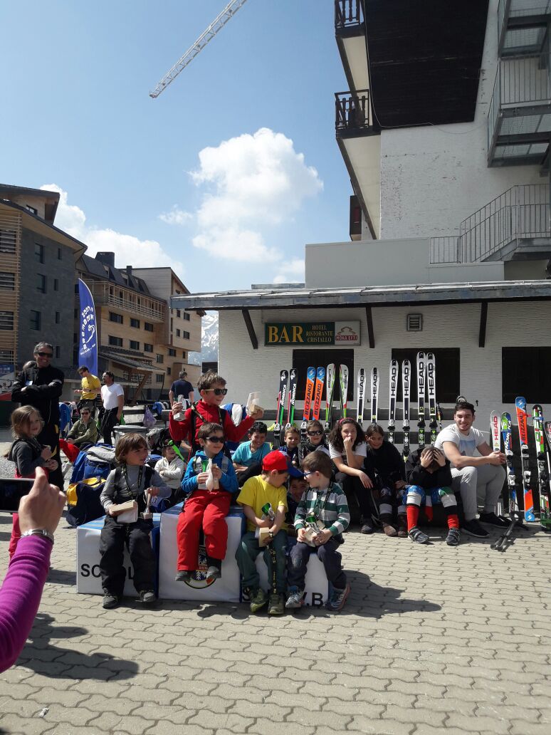 zognobremboski_2017 (20)