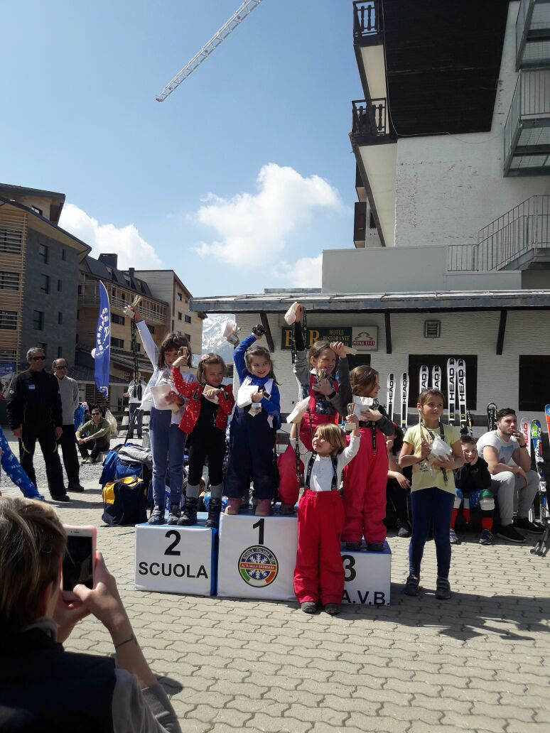 zognobremboski_2017 (6)