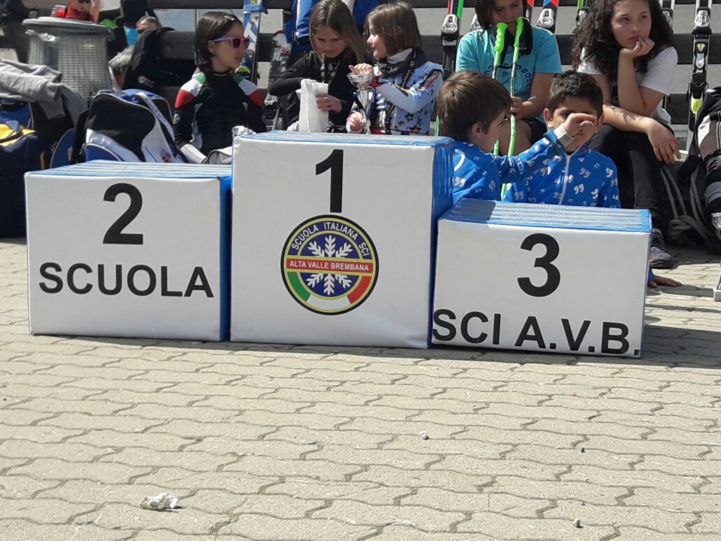 zognobremboski_2017 (7)