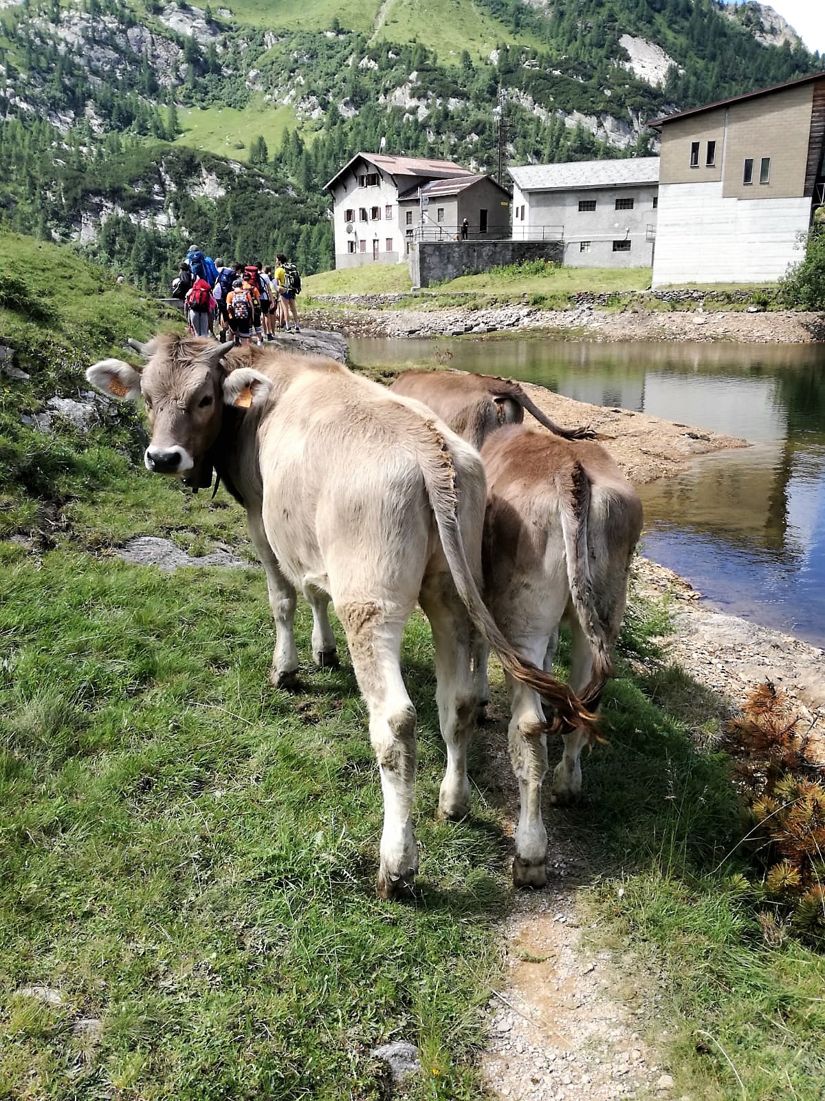Gita-ai-Laghi-Gemelli-16-17-Luglio-2019-28