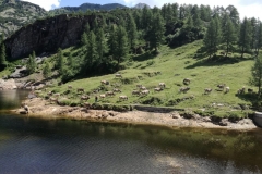 Gita-ai-Laghi-Gemelli-16-17-Luglio-2019-17