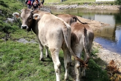 Gita-ai-Laghi-Gemelli-16-17-Luglio-2019-28