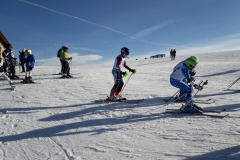 zognobremboski (10)_1